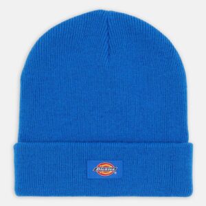 Gorro Dickies Gibsland Turkish Sea