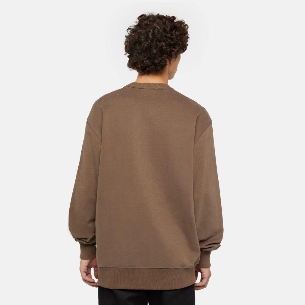 Sudadera Dickies Aitkin Chest Mushroom - Image 2