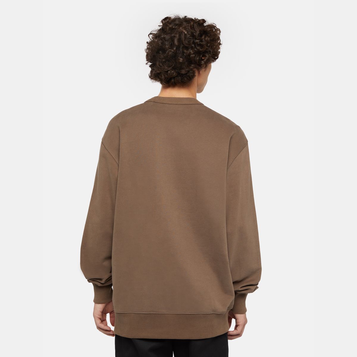 Sudadera Dickies Aitkin Chest Mushroom - Image 2