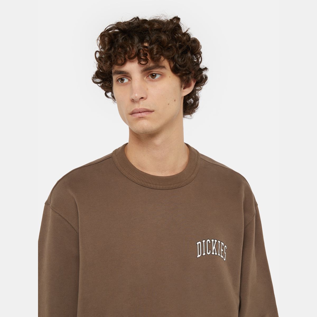 Sudadera Dickies Aitkin Chest Mushroom - Image 3