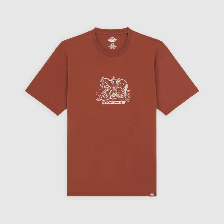 Camiseta Dickies Companion Center Cappuccino - Image 4